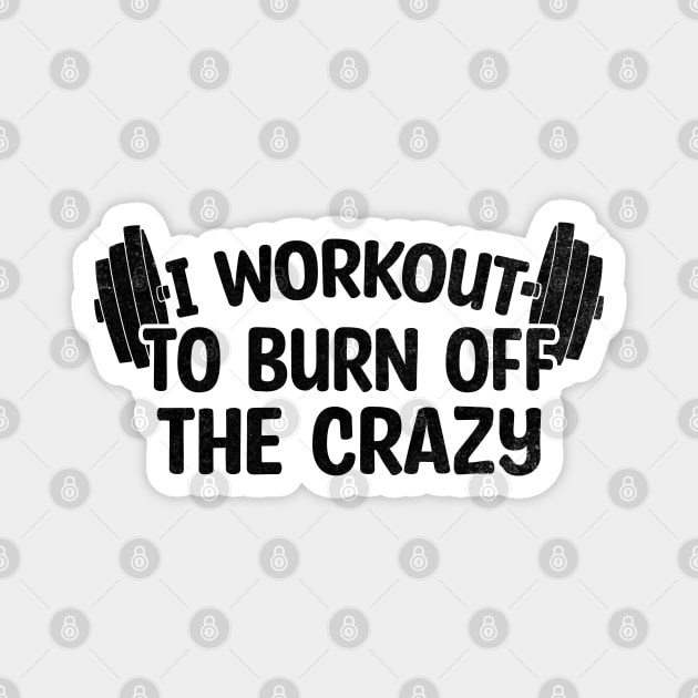 I Workout To Burn Off The Crazy Magnet by Blonc