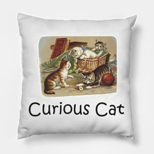 Curious Cat Pillow