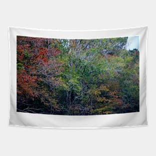 Fall Is Beautiful Tapestry