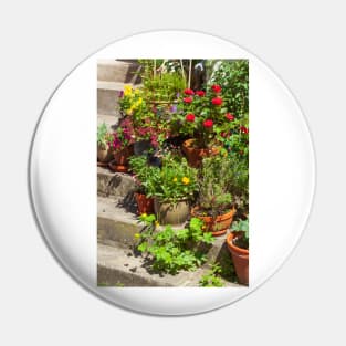 Steps with flower pots Pin