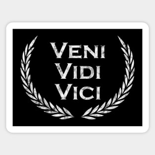 Veni Vidi Vici - Latin saying - Latin' Sticker
