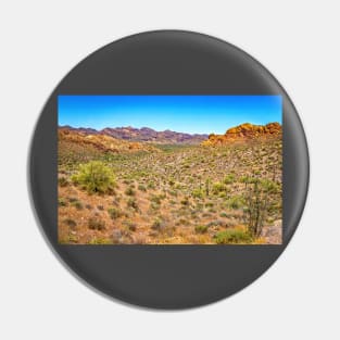 Apache Trail Scenic Drive View Pin