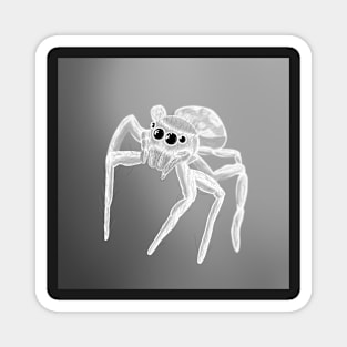 Jumping Spider Drawing V30 (White) Magnet