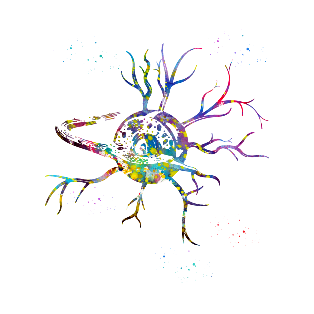 Nerve cell by erzebeth