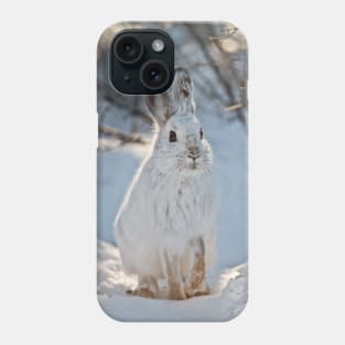 Snow Shoe Hare Phone Case