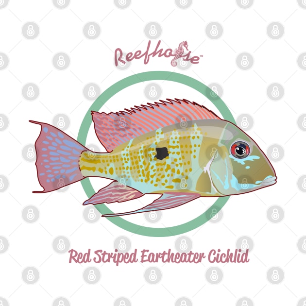 Red Striped Eartheater Cichlid by Reefhorse