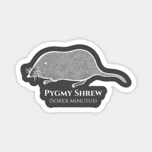 Pygmy Shrew with Common and Scientific Names - animal drawing Magnet