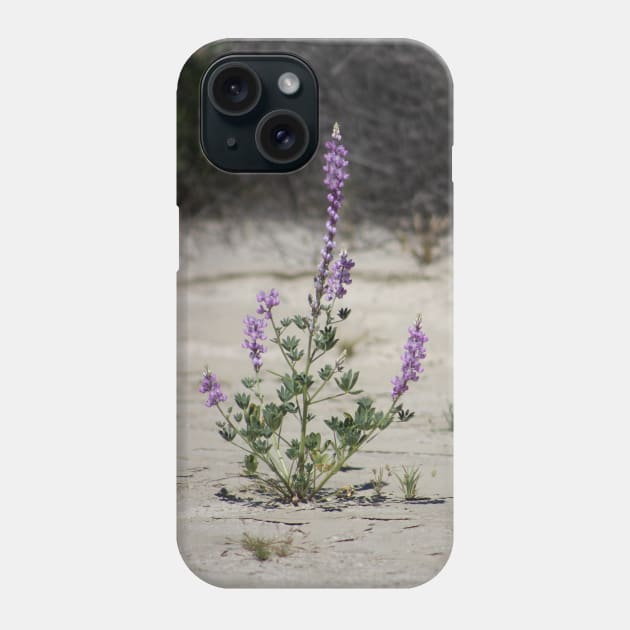 Purple Lupine in the Desert Oasis Phone Case by ButterflyInTheAttic