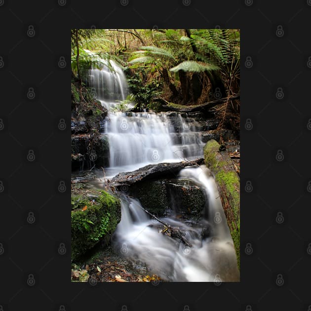 Myrtle Falls, Mt Wellington, Tasmania by Kirkcov