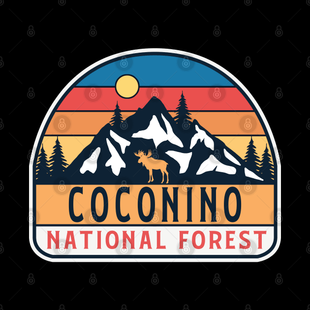 Coconino national forest by Tonibhardwaj