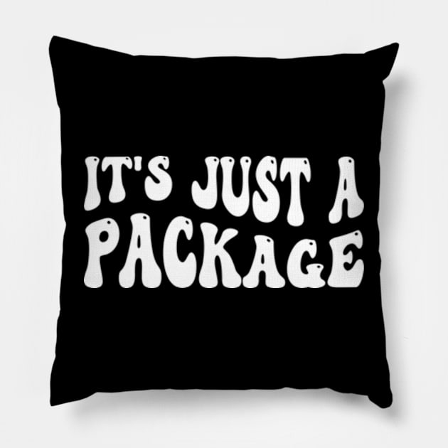 it's just a package Pillow by style flourish