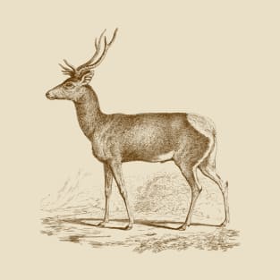 Deer Monochrome Vintage Wildlife Illustration T-Shirt