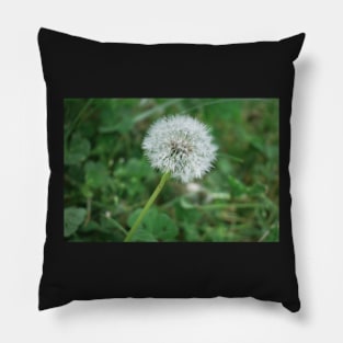 Make a Wish Dandelion Pillow