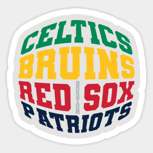 Boston Sports Fan Logo / Vinyl Vehicle Red Sox Patriots Decal Window  Sticker