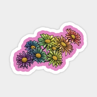 Rainbow Daisies Magnet