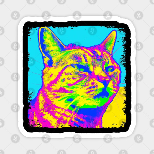 Tabby Pop Art - Cat Lover Gift Magnet by PawPopArt