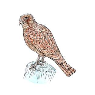 Brown Falcon T-Shirt