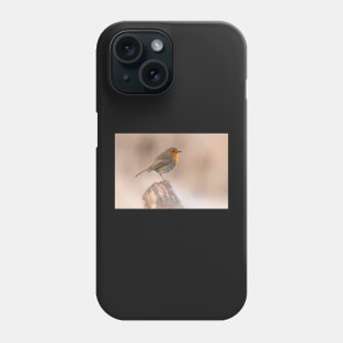 Robin perch Phone Case