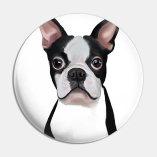 Cute Boston Terrier Drawing Pin