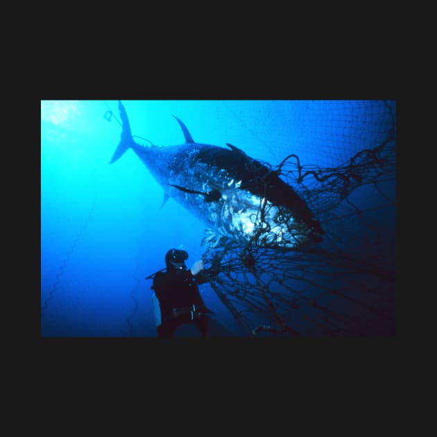 Giant Bluefin Tuna Caught in a Net by Bravuramedia