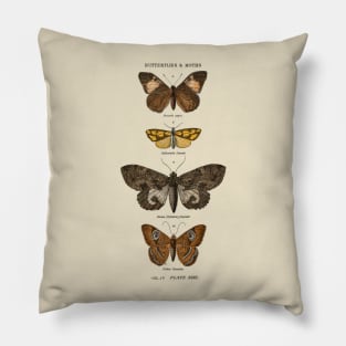 Vintage butterflies Pillow