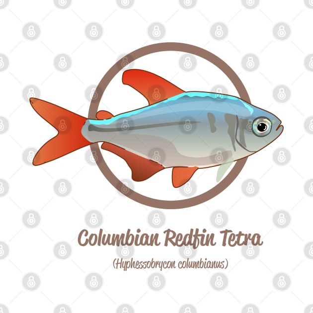 Columbian Redfin Tetra by Reefhorse