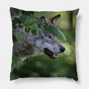 Timber Wolf Pillow