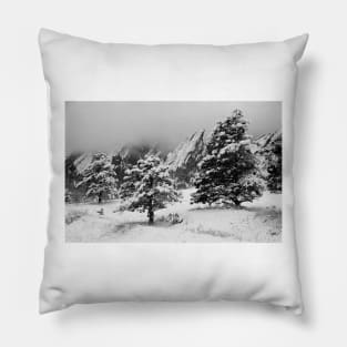 Winter Wonderland Walk Pillow