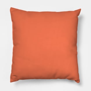 HAJ Designs (Coral) Pillow