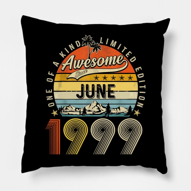 Awesome Since June 1999 Vintage 24th Birthday Pillow by Benko Clarence