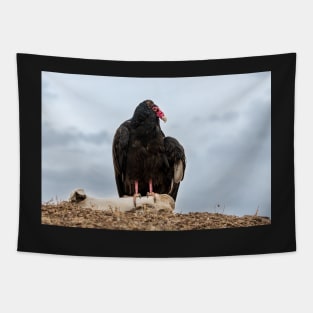 Turkey buzzard Tapestry