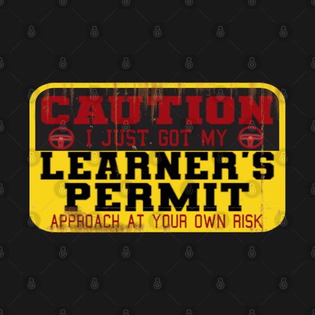 Warning Learner's Permit for Teenagers Driving Lesson by F&L Design Co.