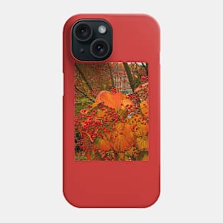 Fall at Winterthur Phone Case