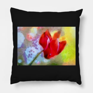 Cyclamen in Red Pillow