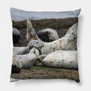 Speckled Seals Pillow