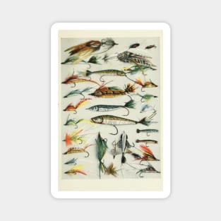 Fishing Lures Magnet