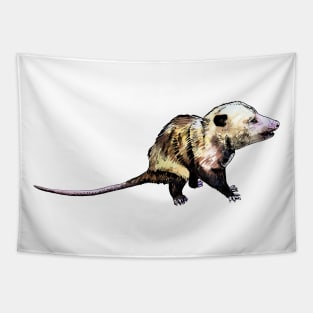 opossum Tapestry