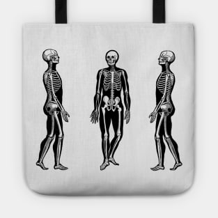 Side View Skeleton - Vintage Anatomy Tote