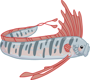 Giant Oarfish Magnet