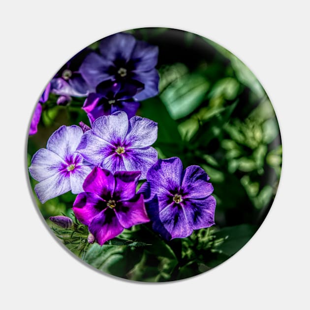 Flowers in purple. Pin by CanadianWild418