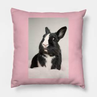 Rabbit Pillow