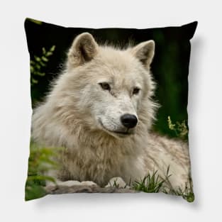 Arctic Wolf Pillow