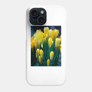 Yellow crocus Phone Case