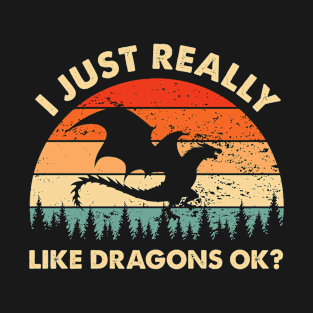 I Just Really Like Dragons OK Funny Dragon Lover T-Shirt