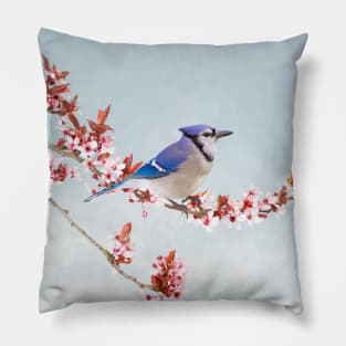 Blue Jay on Cherry Tree Pillow