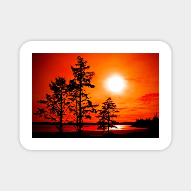 Sunset Long Beach Tofino Vancouver Island Canada Magnet by AndyEvansPhotos