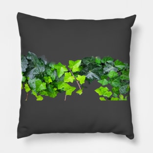 green ivy plant Pillow