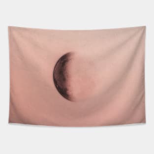 MOONBATHE Tapestry