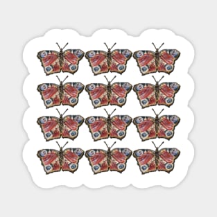 Butterfly Pattern 2 Magnet