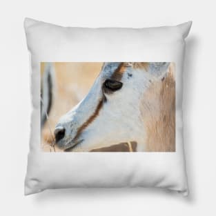 Springbok Portrait - Etosha National Park, Namibia Pillow